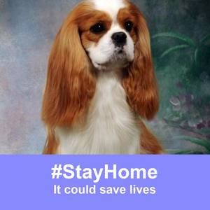 Meet your Posher, Lynn